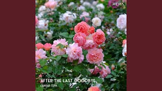 The Peace in Missing You