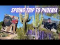 Spring Trip to Phoenix | Botanical Gardens | Old Town Scottsdale| Pt 2 of 2|