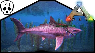 Alpha Megalodon Tame! Ark Survival Evolved Extinction Core!