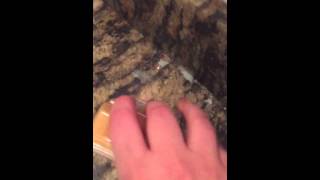 How to Clean Spilled Scentsy Wax
