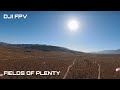 Fields of Plenty - DJI FPV