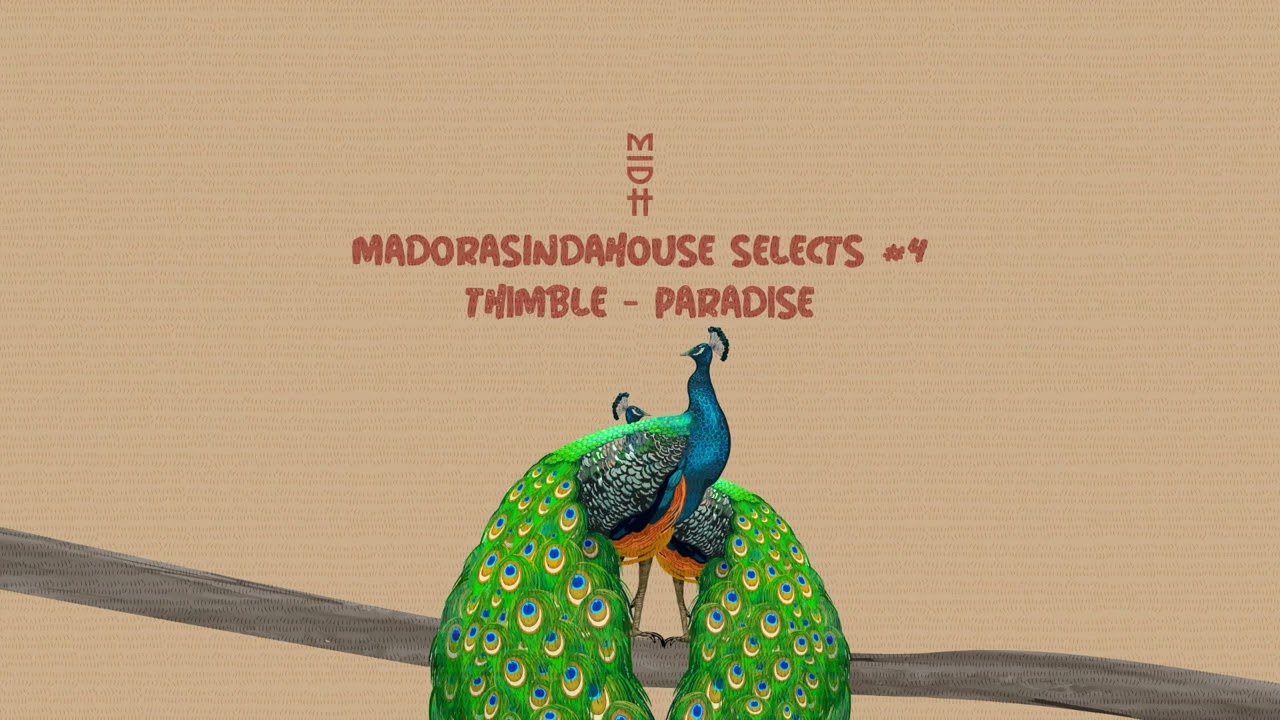 Guarda Thimble - Paradise (MIDH 042) su YouTube Guarda Thimble - Paradise (MIDH 042) su YouTube