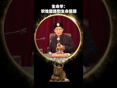 生命学：识性回路和生命回路