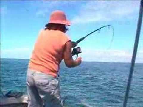 A Mackay Mum shows how it's done. High speed spinning for mack tuna off Mackay Harbour, Queensland. Not big fish but very fast and powerful. released to fight another day.