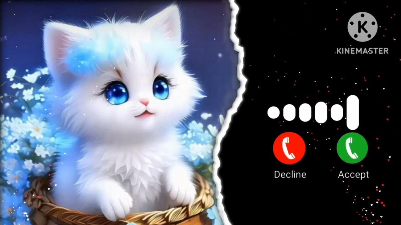CUTE CAT RINGTONE 🥰😘💯 video viral YouTube