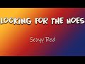 Sexyy Red - Looking For The Hoes (Lyrics) | Shake that a**, ho (It ain