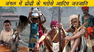 पहाड़ी कोरवा और पंडो क्यों जंगल लौटना चाहते हैं | Chhattisgarh: Primitive Tribes in Surguja