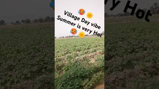 village Day vibe 🥰 #short #shorts #shortviral #shortsvideo
