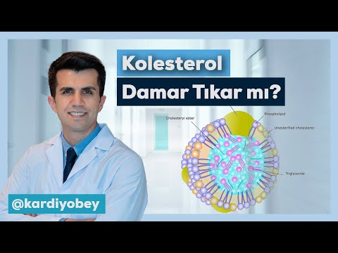 LDL Kolesterol Nedir? LDL Kolesterol Damarları Tıkar mı?