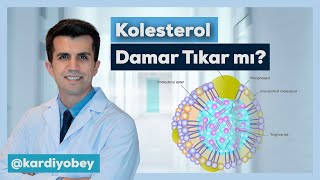 LDL Kolesterol Nedir? LDL Kolesterol Damarları Tıkar mı?