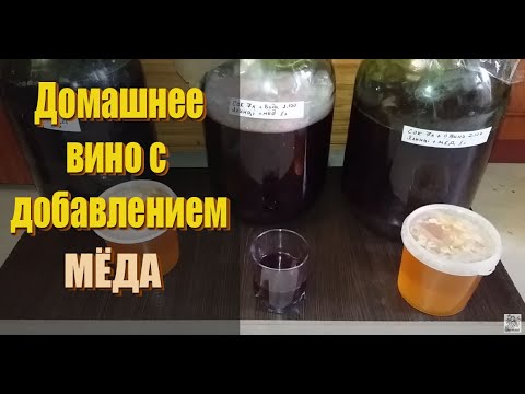 Video: Domače vino iz črnega ribeza