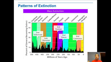 Evolutionary Patterns and Processes