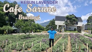 LAVENDER GARDEN AND SARUNE CAFE BAGANDING