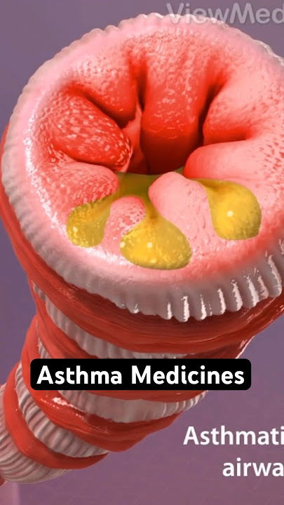 Asthma Medicines (3D Animation)