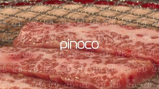 pinoco