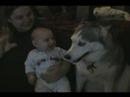 Dog makes baby laugh