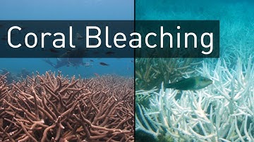 Why we need Mineral Accretion Technology