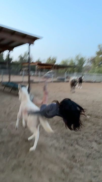 JENNIFER NGO RIDING A HORSE