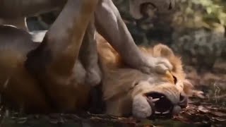 The Lion King (2019) Bahasa Indonesia | Short Video Channel