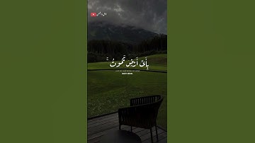 تلاوة خاشعة ومؤثرة القارى إسلام صبحي 🎧❤️‍🩹 #أرح_سمعك_وقلبك #اكسبلور #طمئن_قلبك #اسلام_صبحي