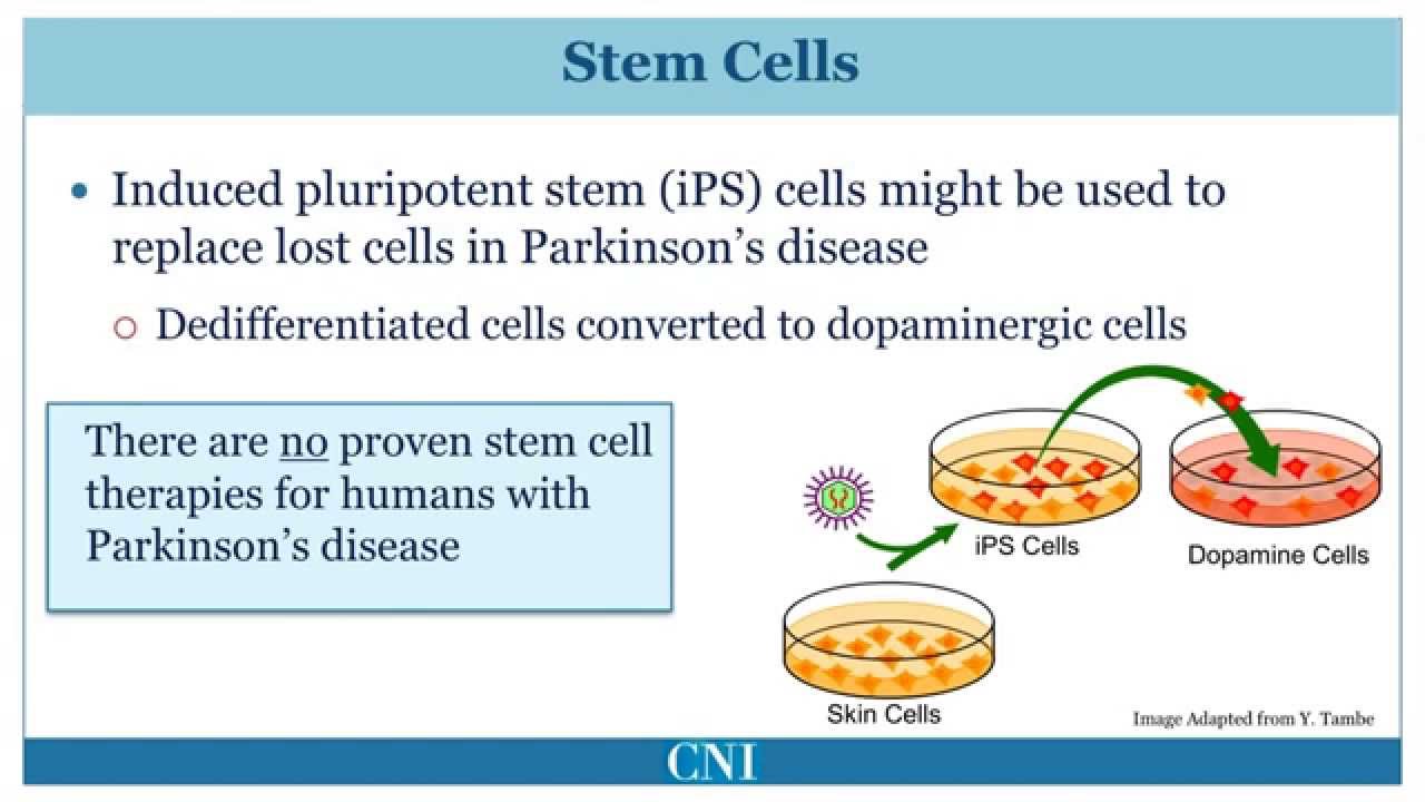 buy high yield cell