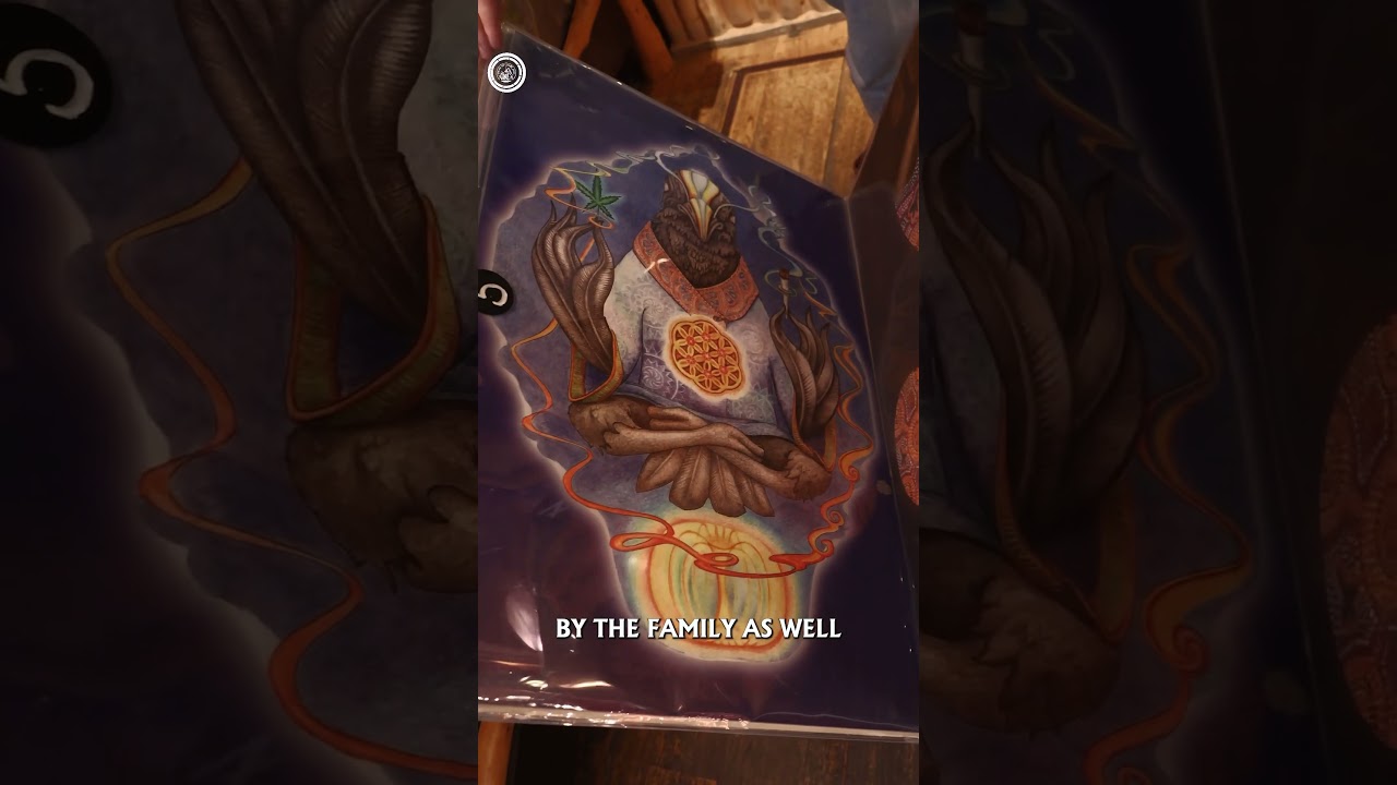 Abraxas Amsterdam: Coffeeshop Tour 🇳🇱🔥