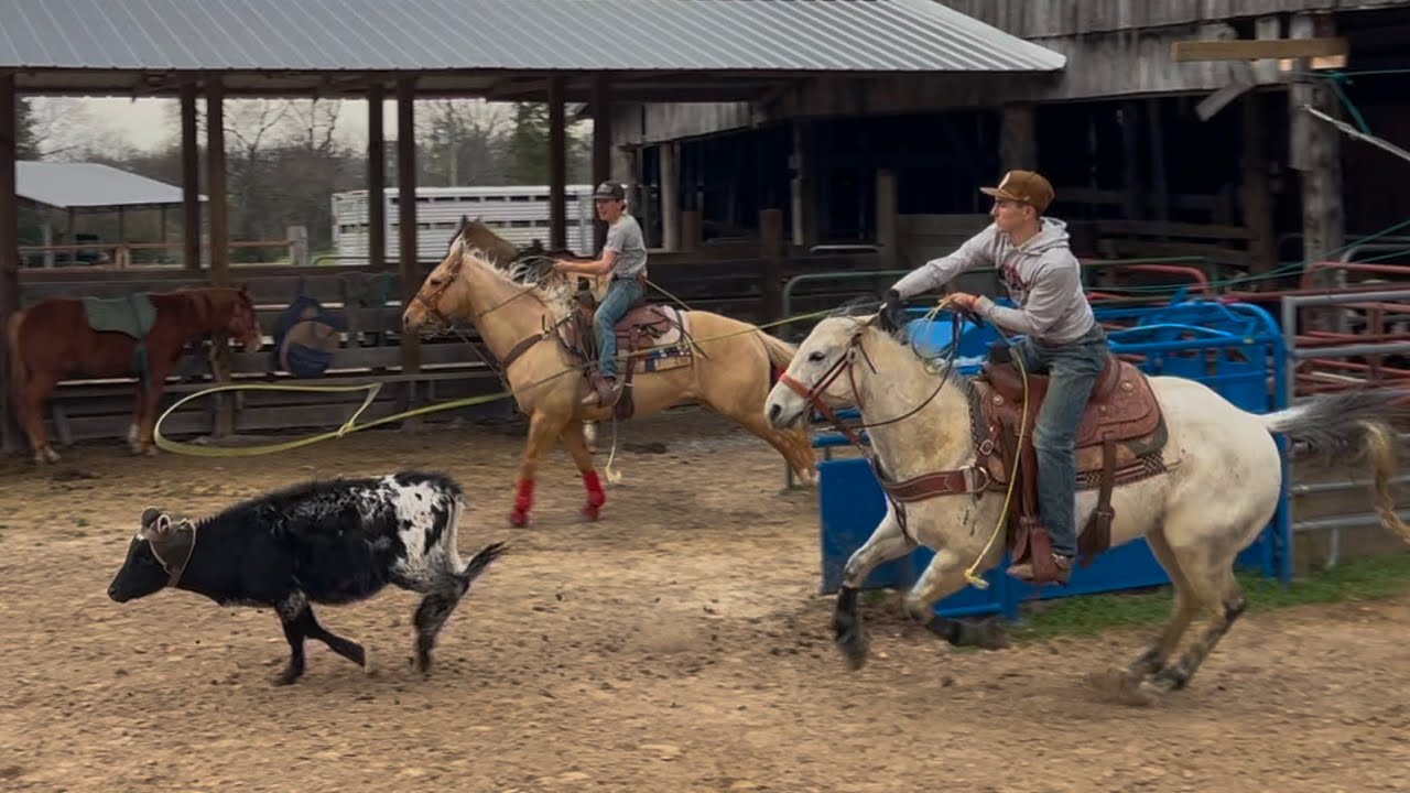 Team Roping Practice on March 20th - YouTube