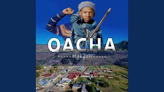 Qacha