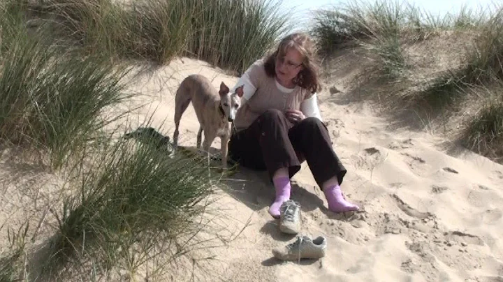 Lola Whippet visits Norfolk Coast