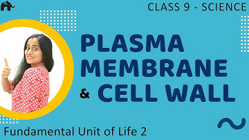 Plasma Membrane vs Cell wall | Fundamental Unit of Life #2 | Class 9 Science