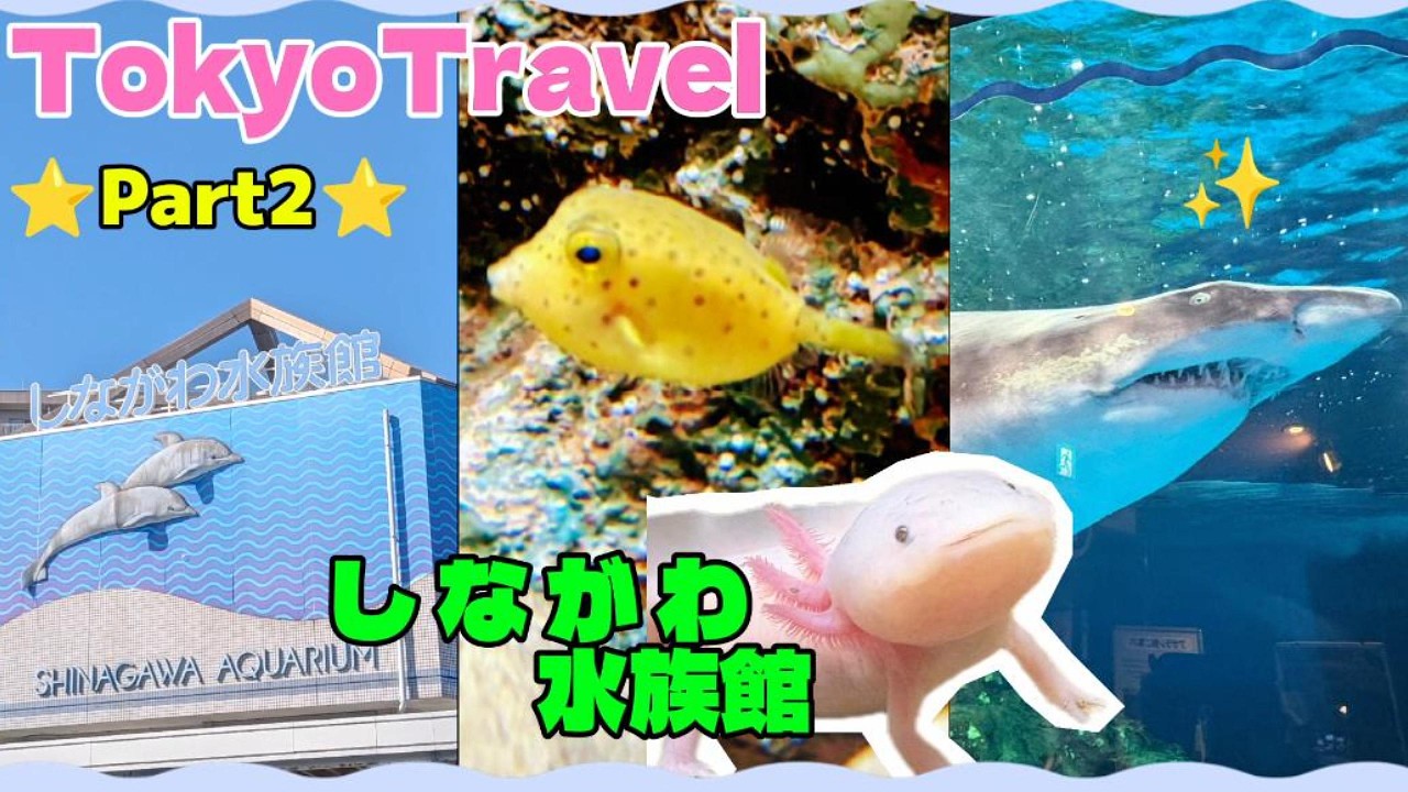 【vlog】ToiToiToi💚前垣さら🎉生誕祭で東京行くの巻🛫 part2は『しながわ水族館』から『地鶏や』でLunchまでよん　2泊3日東京旅行満喫じゃ😆2026.1.31