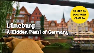 A Dog's Virtual Guide to Lüneburg | Exploring the Historic German Town with My Dog