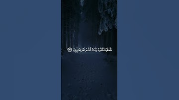 وأرسلنا الرياح لواقح فأنـزلنا من السماء ماء - القارئ شريف مصطفي سورة - الحجر #قرآن_كريم#اكسبلور