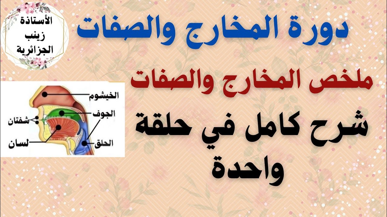 1️⃣شرح مبسط لمخارج الحروف بالصور وألقاب الحروف/رواية حفص