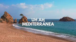 #mediterranea #irama #bachata  Mediterránea (rmx) BaChaCha by Ricky Jo. Resimi