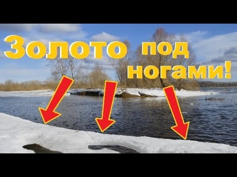 Видео: Я хожу по ЗОЛОТУ! Пляжный поиск в разгаре!/I walk on GOLD!