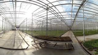 Chain track system