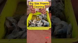 Big Size Prawns| Cheediga Fish Market| P johnsi| Kakinada #shorts #seafood  #prawns
