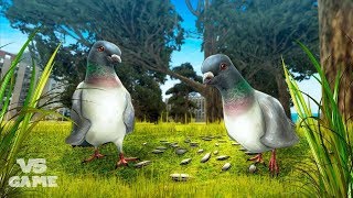 Pigeon Simulator 3D - City Bird Android Gameplay screenshot 3