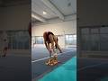 Squad 1 Top - 2 on 1 Hyper Mexican #acrobaticgymnastics #acrobatics #acro #athlete #gymnastics