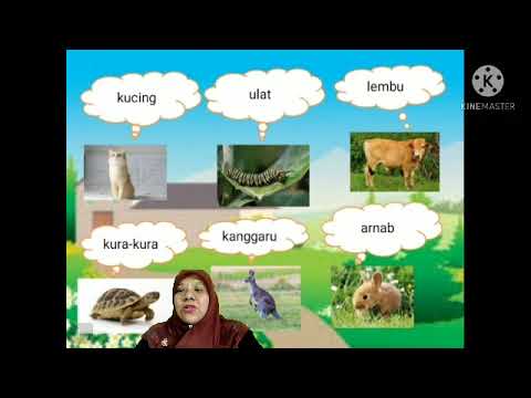 Video: Adakah ditanam kata nama am?