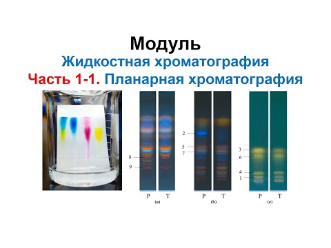 Основы планарной хроматографии: хроматография на бумаге, тонкослойная хроматография (ТСХ), ВЭТСХ