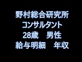 野村総合研究所　コンサルタント　28歳男性　給与明細