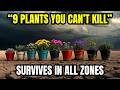 😍9 Hardy Plants for Harsh Climates That Grow Beautifully in Pots🍃