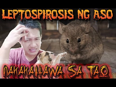 Video: Kakulangan Ng Metabolic Enzyme Sa Mga Aso