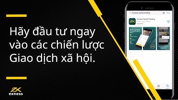 Cách trở thành Nhà đầu tư Social Trading Exness