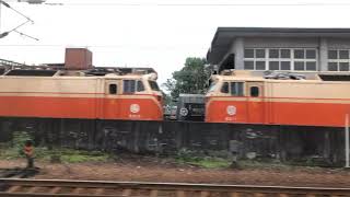 EMU100英國貴婦赴花東郵輪列車5832B次