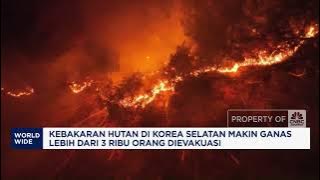 Kebakaran Hutan di Korea Selatan Makin Ganas, 3.000 Orang Dievakuasi