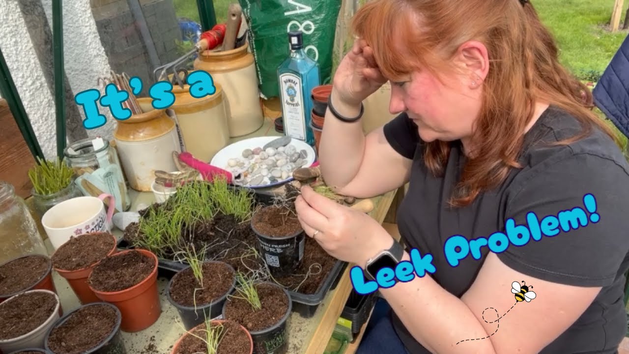 Ali's Vlog 6 - It's a Leek Problem, Home Allotment / Gardening Allotment UK
