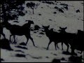 Lord Huron - Love Like Ghosts
